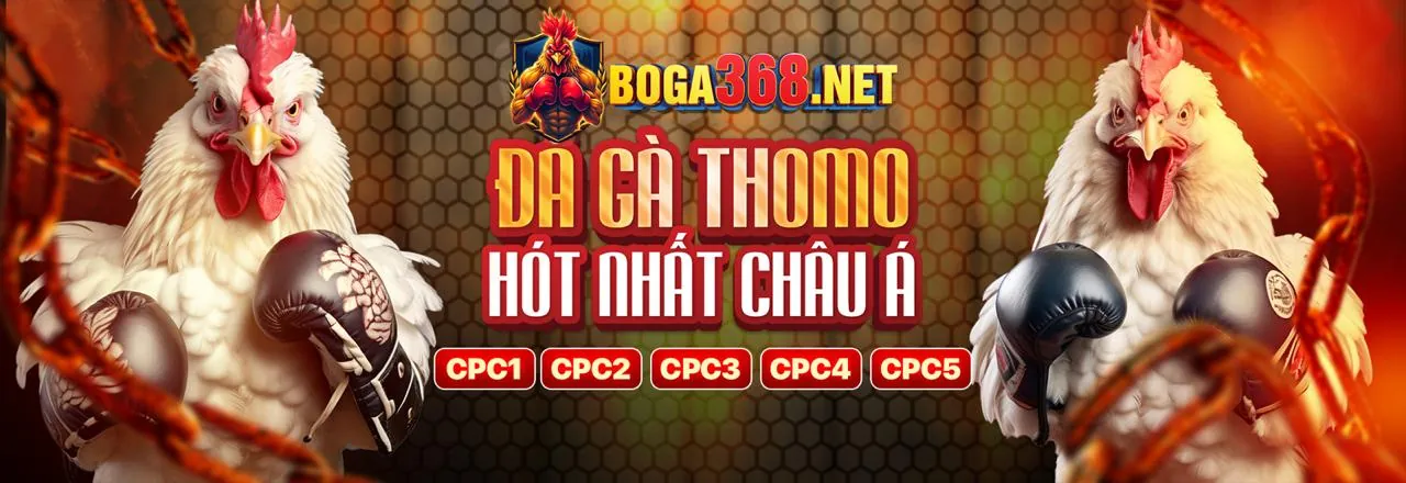 Đá gà trực tuyến 33win02